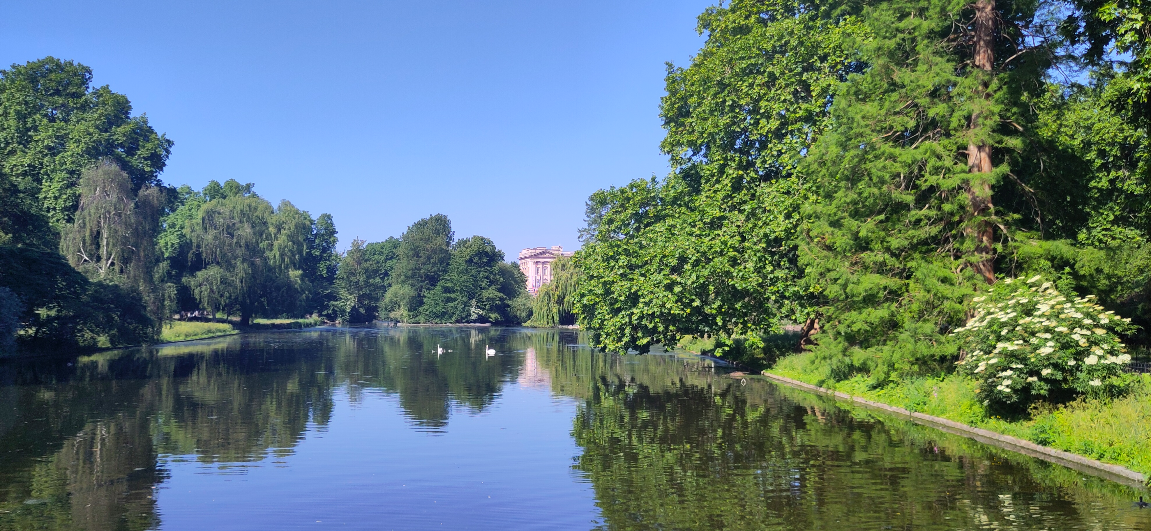 St James's Park greenery and canal in central London